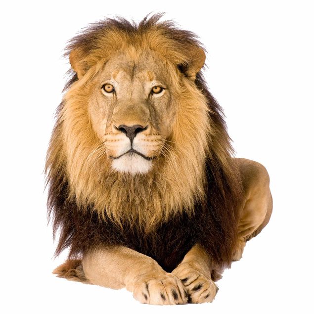 Lion wall decals No.154 Lion II