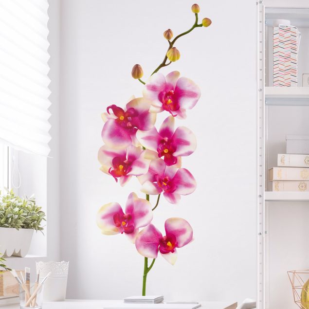 Wall stickers orchid No.176 Orchid Rose I