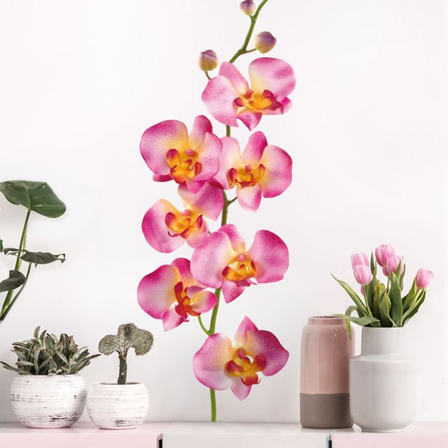 Orchid wall stickers No.177 Orchid Rose II