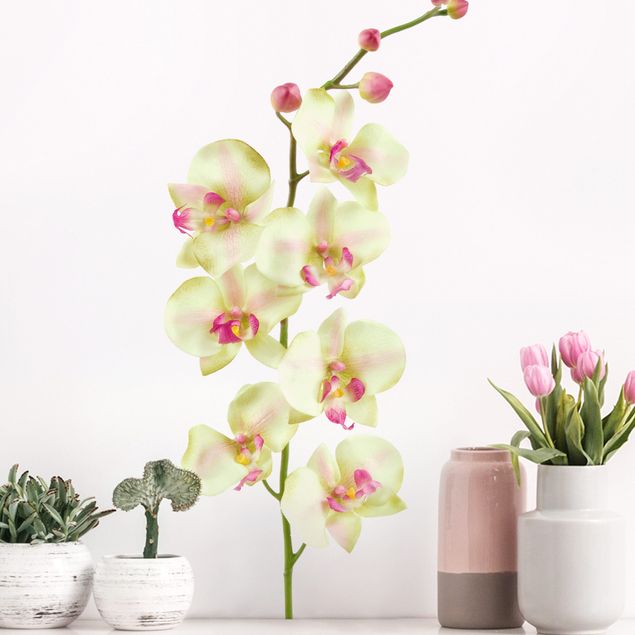 Wall stickers orchid No.190 Orchid White II