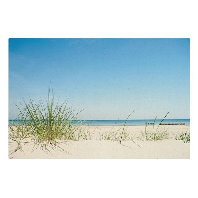Natural canvas print - Baltic Sea Coast - Landscape format 3:2