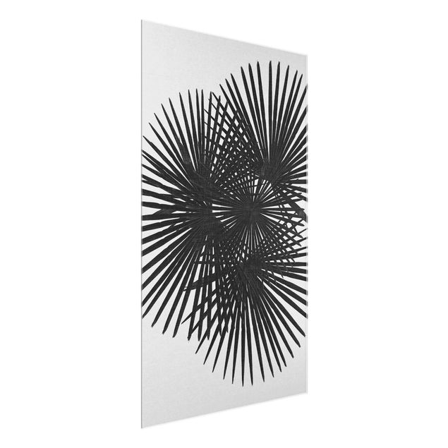 Glass print - Palm Leaves In Black And White
