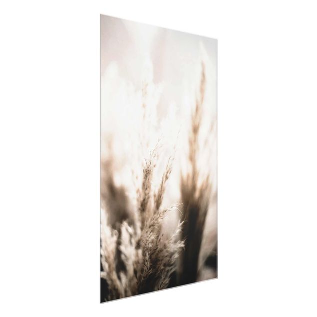 Glass print - Pampas Grass In The Shadow