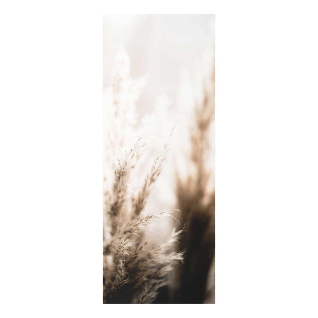 Glass print - Pampas Grass In The Shadow