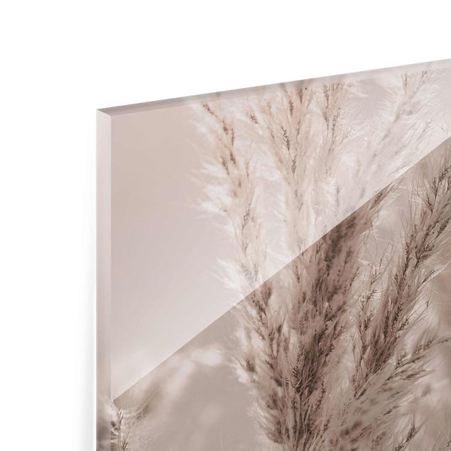 Glass print - Pampas Grass In Late Fall