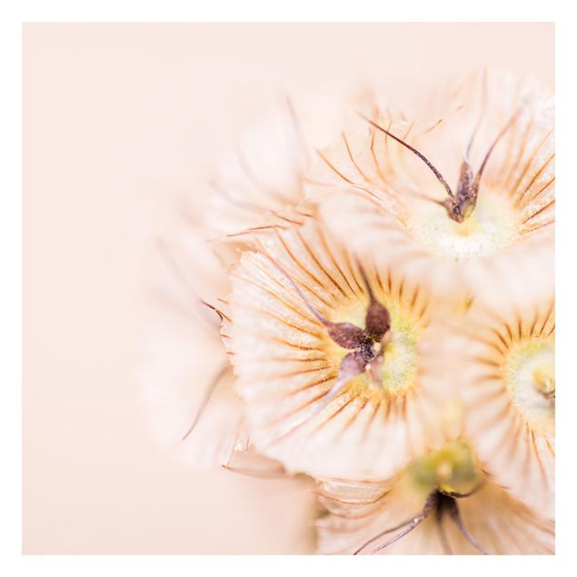 Walpaper - Pastel Bouquet of Flowers