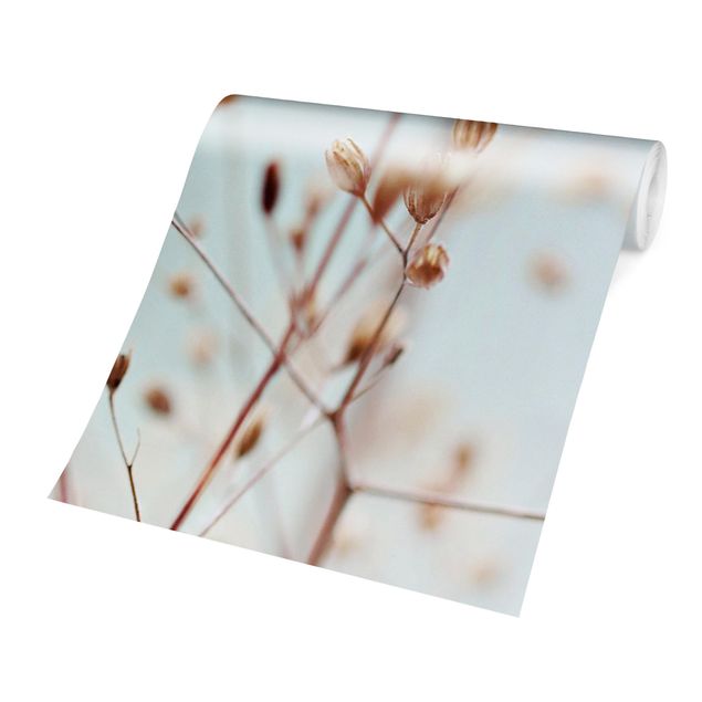 Walpaper - Pastel Buds On Wild Flower Twig