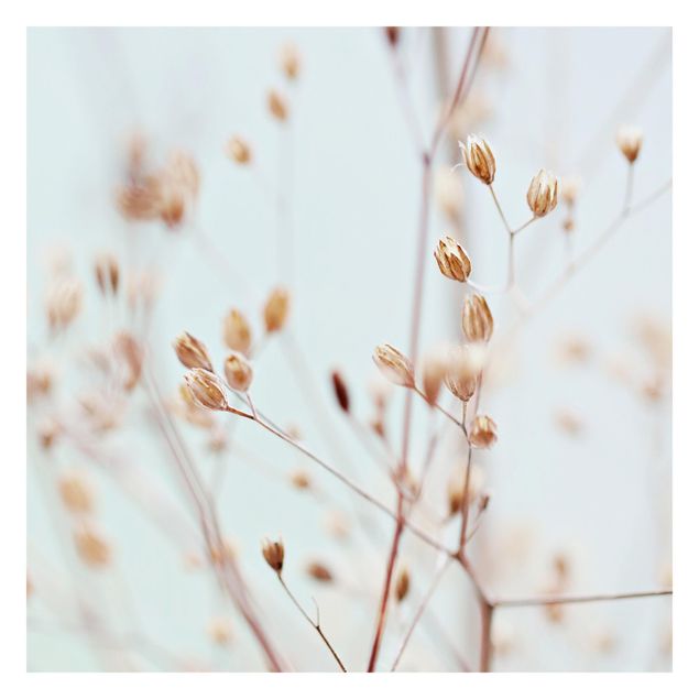 Walpaper - Pastel Buds On Wild Flower Twig