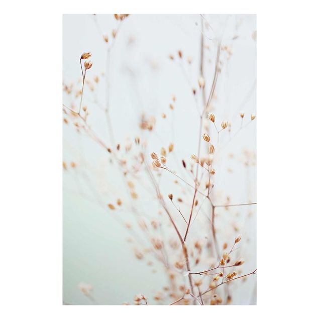Glass print - Pastel Buds On Wild Flower Twig