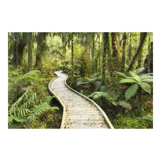 Wallpaper - Path In The Jungle