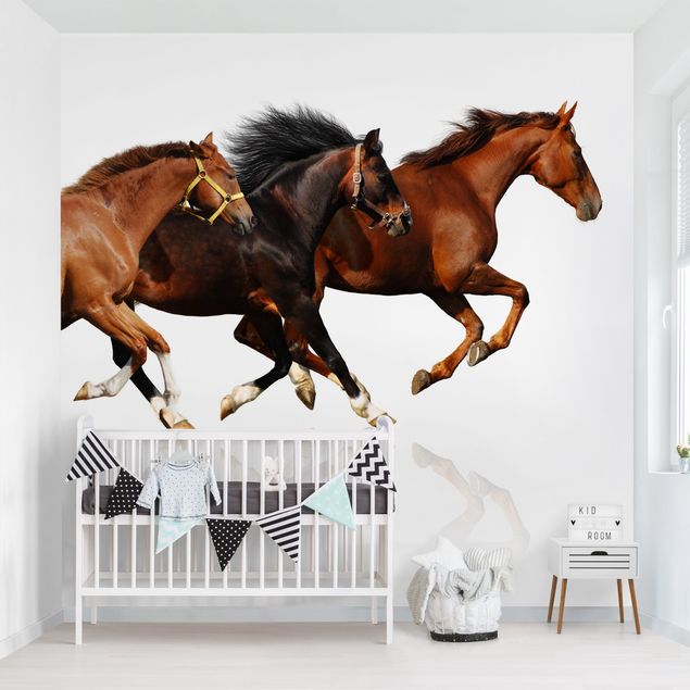 Wallpaper - Horse Herd