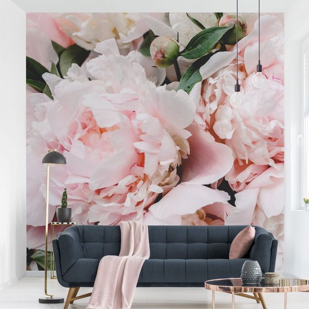 Wallpapers Peonies Light Pink