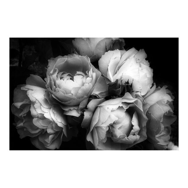 Wallpaper - Peonies On Black Shabby Black And White
