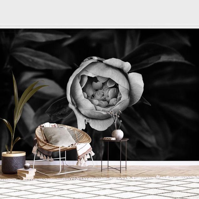 Wallpapers Peonies In Front Of Leaves Black And White