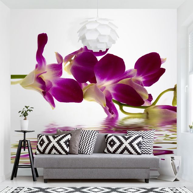 Wallpapers Pink Orchid Waters