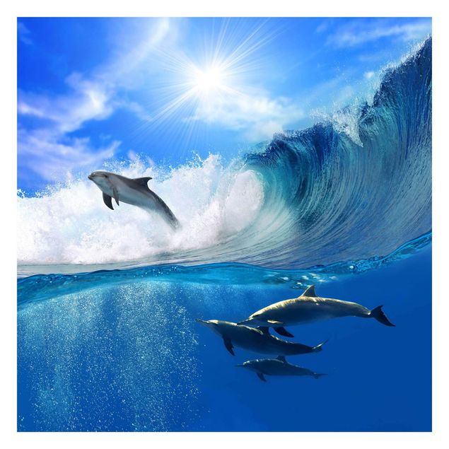 Wallpaper - Playing Dolphins