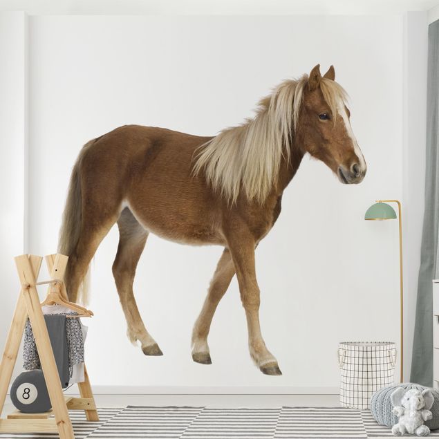Adhesive wallpaper - Pony