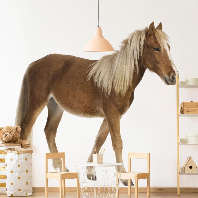 Adhesive wallpaper - Pony