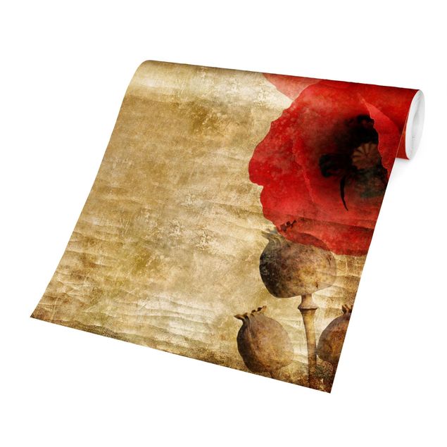 Wallpaper - Poppy Flower