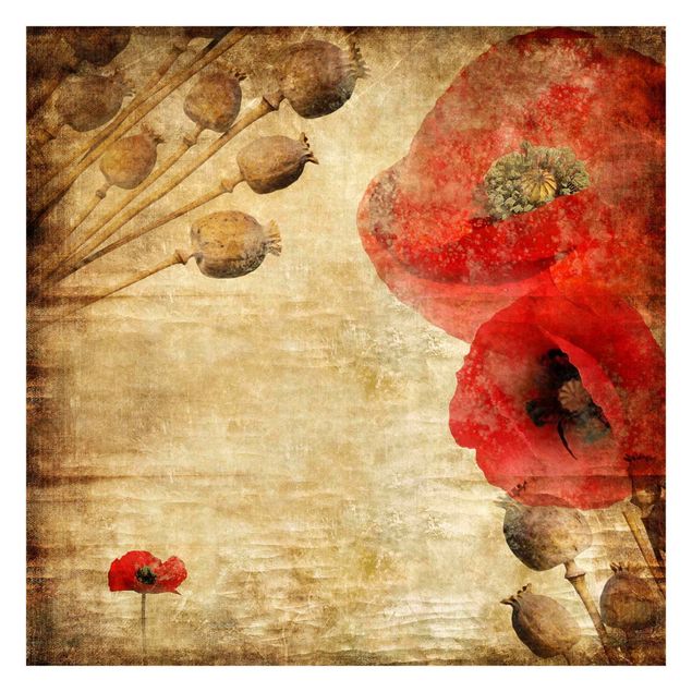 Wallpaper - Poppy Flower