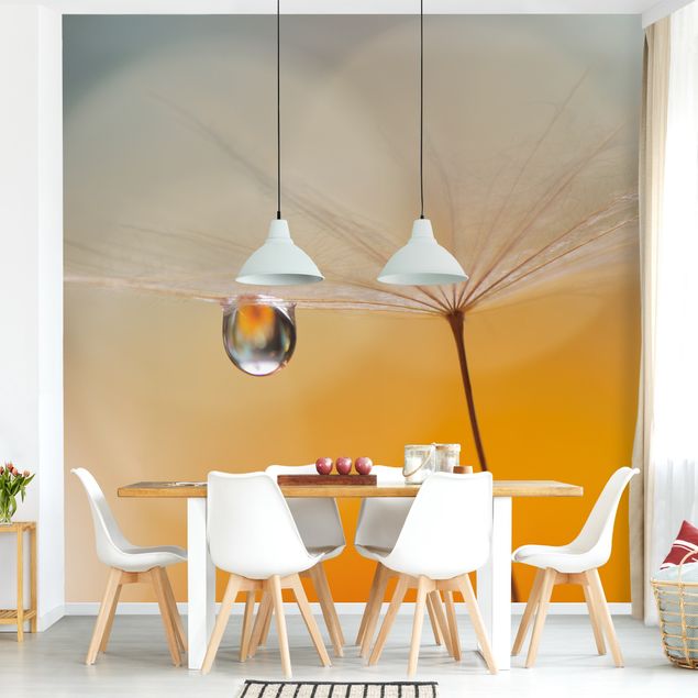 Wallpaper - Dandelion In Orange