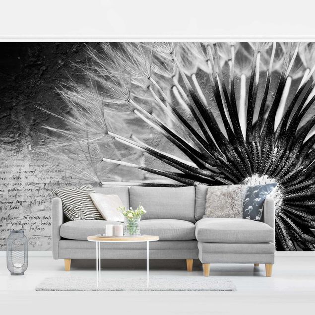 Wallpapers Dandelion Black & White