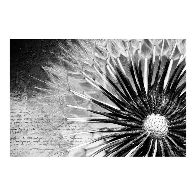 Wallpaper - Dandelion Black & White