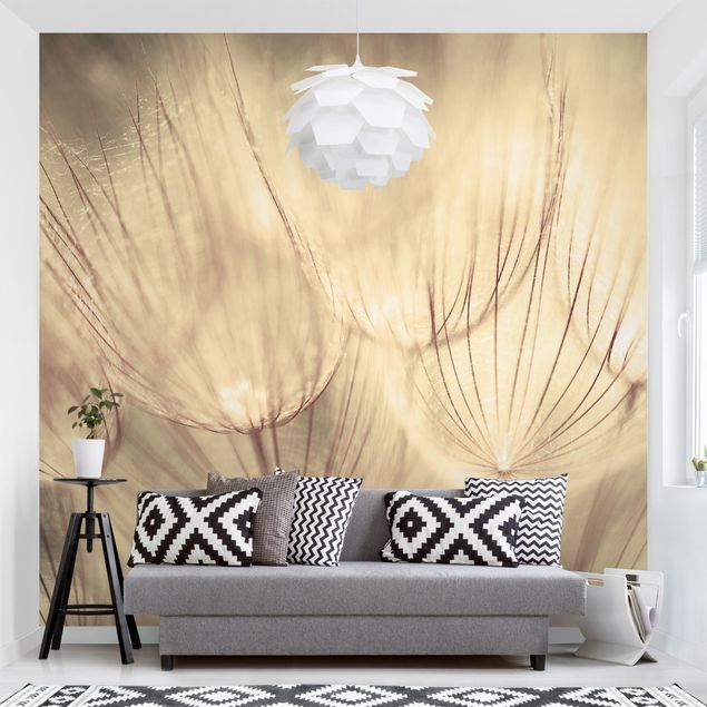 Wallpaper - Dandelions Close-Up In Cozy Sepia Tones