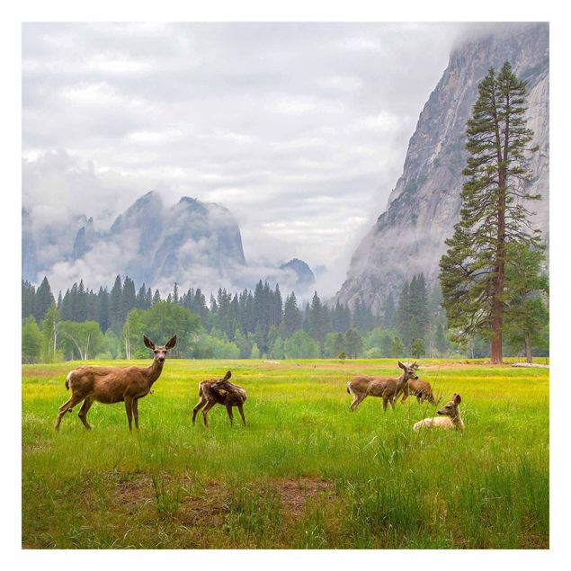 Wallpaper - Deer In The Mountains