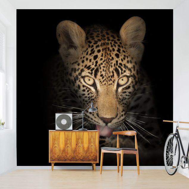 Wallpaper - Resting Leopard