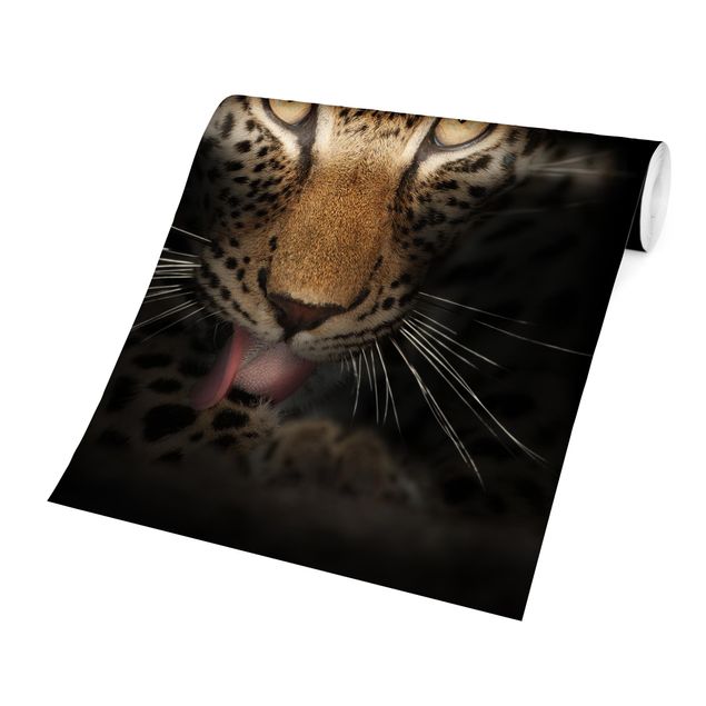 Wallpaper - Resting Leopard