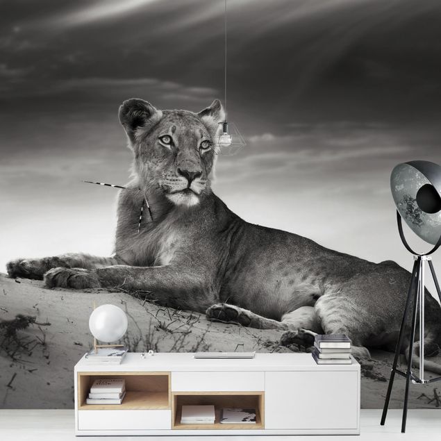 Wallpaper - Resting Lion