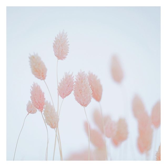 Walpaper - Grass Tips In Pale Pink