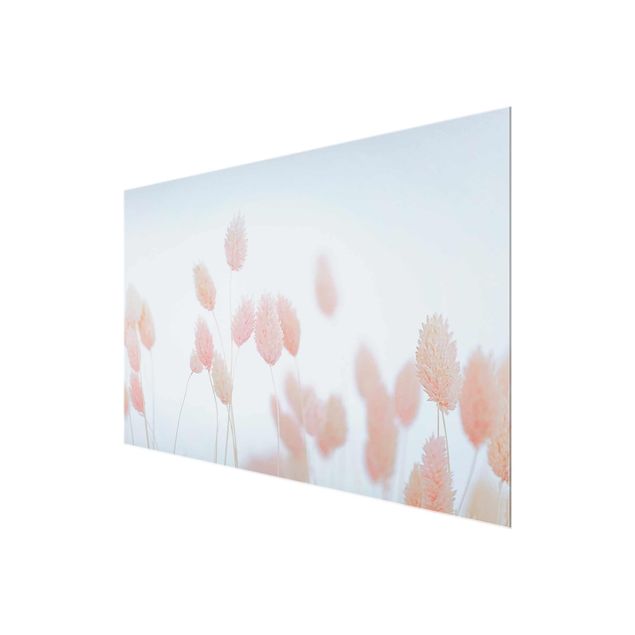 Glass print - Grass Tips In Pale Pink