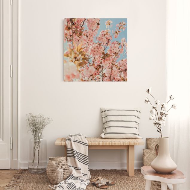 Natural canvas print - Pink Cherry Blossoms Galore - Square 1:1
