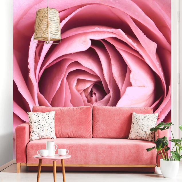 Wallpapers Pink Rose Blossom