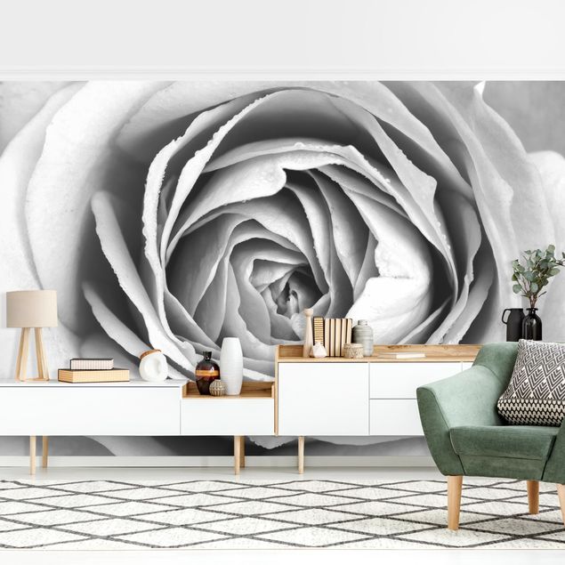 Wallpaper - Pink Rose Black And White