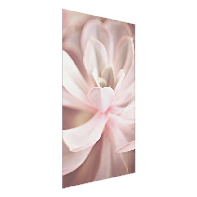 Glass print - Light Pink Succulent Flower