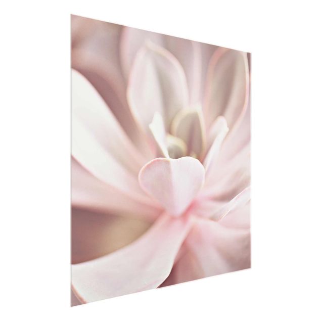 Glass print - Light Pink Succulent Flower