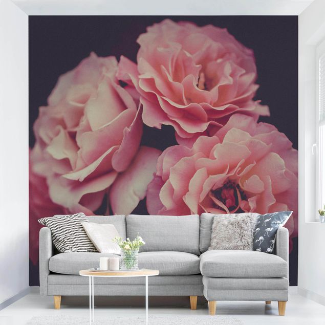 Wallpapers Paradisical Roses