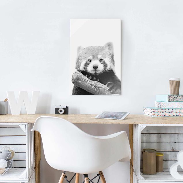 Glass print - Red Panda In Black And White
