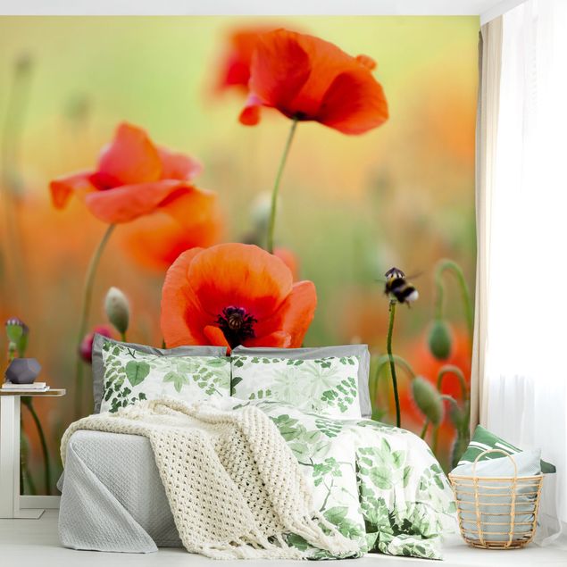 Wallpapers Red Summer Poppy