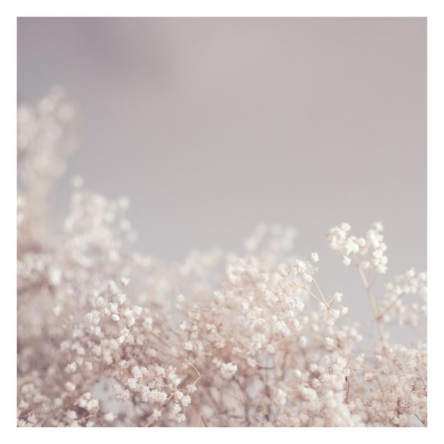 Walpaper - Soft Flowers