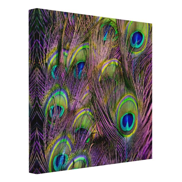 Natural canvas print - Iridescent Paecock Feathers - Square 1:1