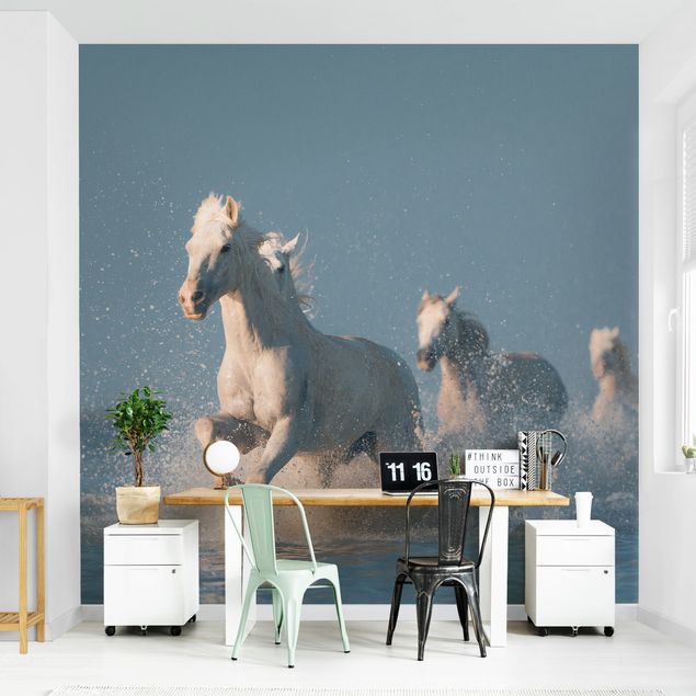 Wallpapers Herd Of White Horses