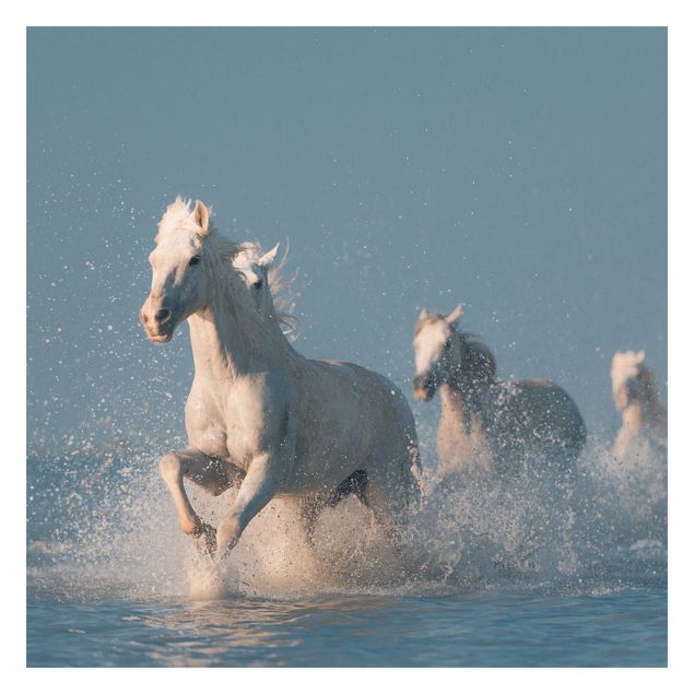 Wallpaper - Herd Of White Horses