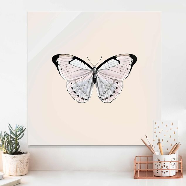 Glas Magnetboard Butterfly On Beige