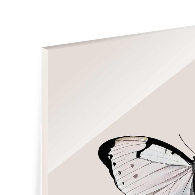 Glass print - Butterfly On Beige