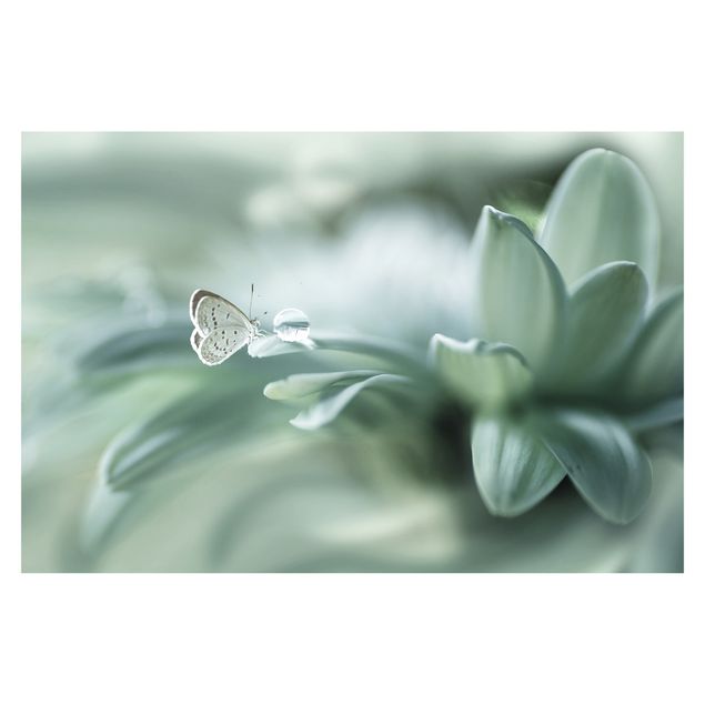 Wallpaper - Butterfly And Dew Drops In Pastel Green