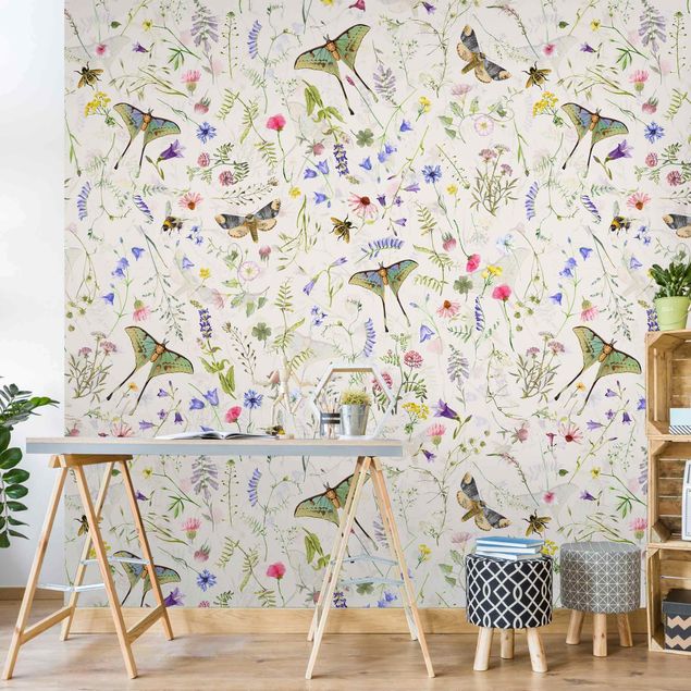 Wallpapers Butterflies With Flowers On Cream Colour